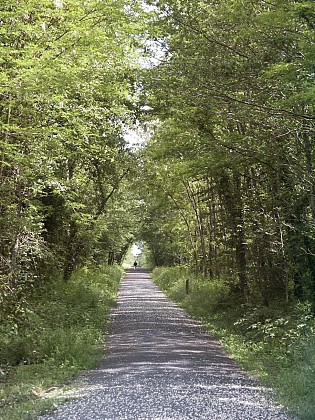 La Ligne Verte