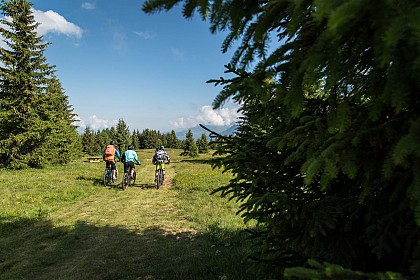 La Familiale (20) - Downhill MTB track