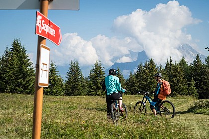 La Sapinière (22) - Downhill MTB track