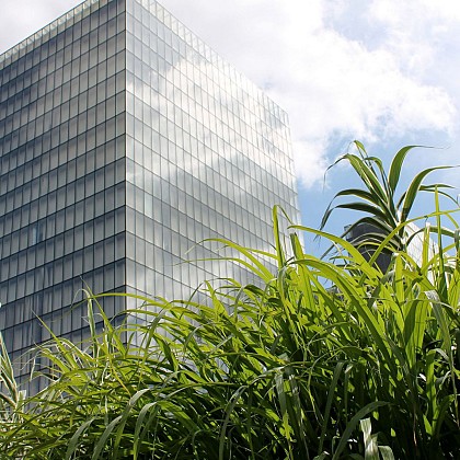 Balade de Paris (75) - La nature et les jardins de Paris Rive Gauche