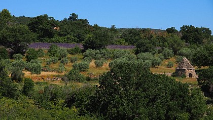 Le tour de Cabane