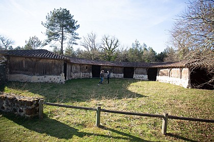 Bergeries en Sud Gironde