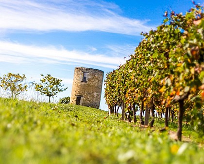 Boucle des Moulins