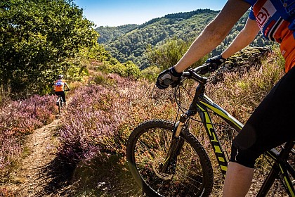 Moutain Bike Track n°21 - Laussiere