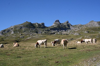 Le cirque d'Anéou