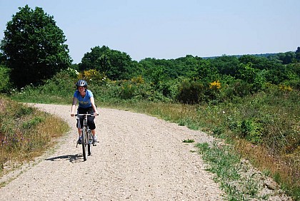 Vélo Promenade® n°12 Bellevue