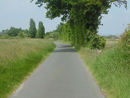 Balade en bord de Seine (départ de La Rivière-Saint-Sauveur)