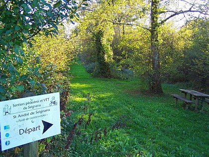 Forêt de Cassou Hourn