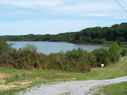 Entre bois et lac à Biarrotte