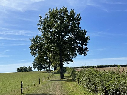 Aux Grands Garreaux