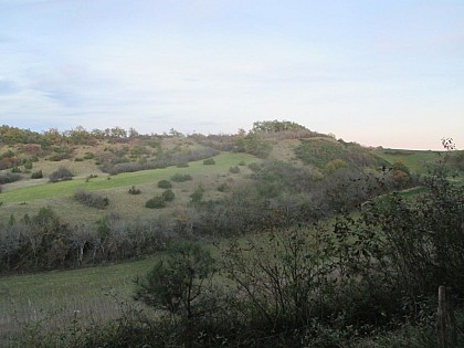 Le chemin d'Artiguedieu