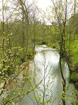 Sentier de la Montagne (Thièvres)