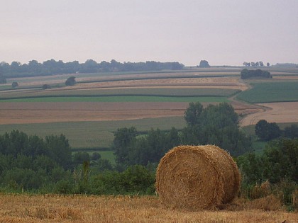 Sentier du Faÿ (Grand-Rullecourt)