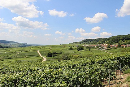 Route Touristique du Champagne : Vallée de la Marne