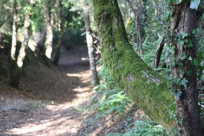 Sentier des Gascieux