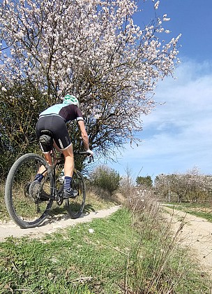 MTB n°10 -  Exploring the Pernes hills
