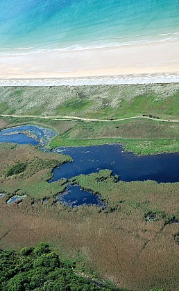 Entre mare et dunes