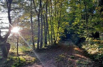 Huttopia Etang de Fouché: Sensation d'évasion à quelques pas d'Arnay-le-Duc