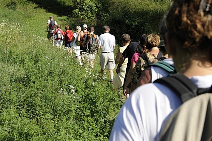 Le chemin de Bozel