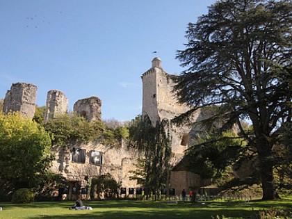 Laissez-vous conter Vendôme - "Flânerie vers le château"