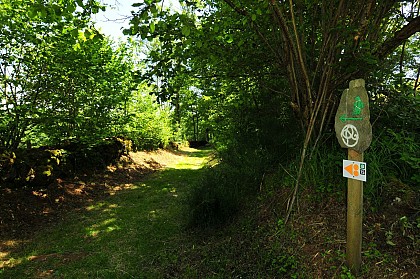 La coulée de lave et le lac de la Fage