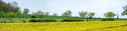 SENTIERS À LA CROISÉE DES CHEMINS : CIRCUIT 21 - SENTIER DES HAUTS DE HAROL