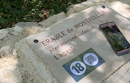Parcours botanique du Font de Bardel