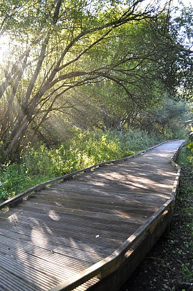 Le Marais des Communaux, un espace naturel accessible à tous