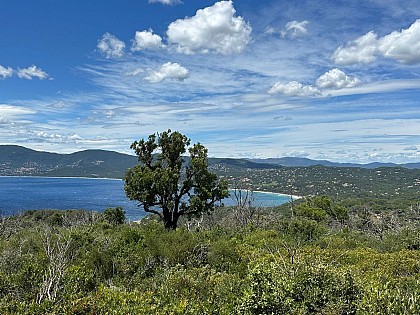 Parcours VTT autorisés dans le Domaine du Cap Lardier