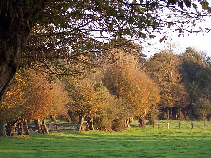 Sentier des 2 Sources (Warluzel)