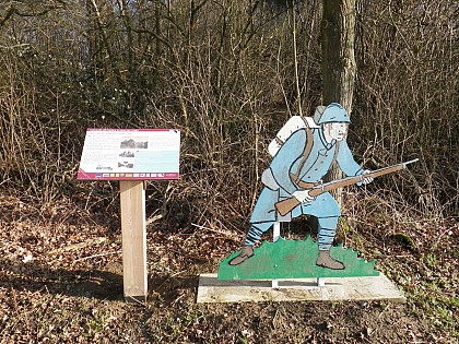 Bois des Loges