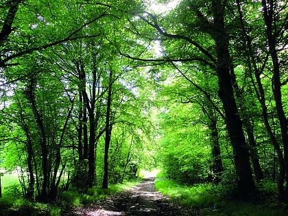 Les Hauts Talican