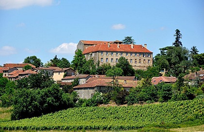 Saint-Mont - Oenorando Entre vignes et Adour