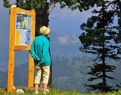 The Sambuy Botanical Trail