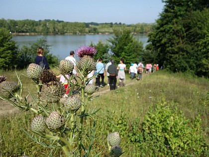 Parcours nature du lac de la Prade