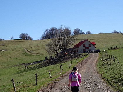 Trail - Mitzach-Belacker