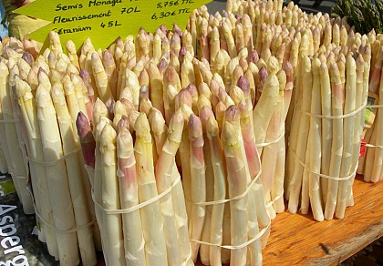 BL502 - Asparagus and half-timbered houses