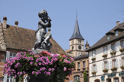 Cycle route Strasbourg-Barr