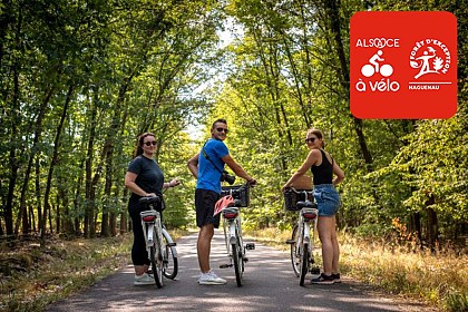 Circuit vélo à la découverte de la Forêt d'Exception®