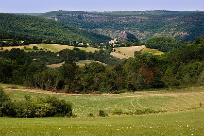 Tour du Tarn à cheval : Bruniquel / Roussayrolles