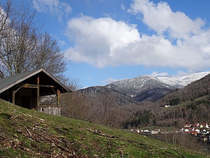 Marche Santé - circuit M Mitzach