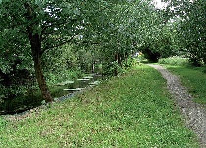 Au fil de l'Ill et du Dollerbaechlein