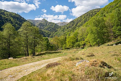 Parcours VTT M5 : Mittlach-Schnepfenried