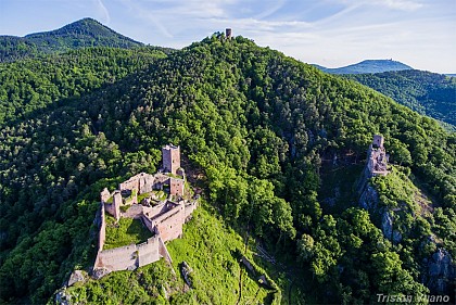 The three castles of Ribeauvillé