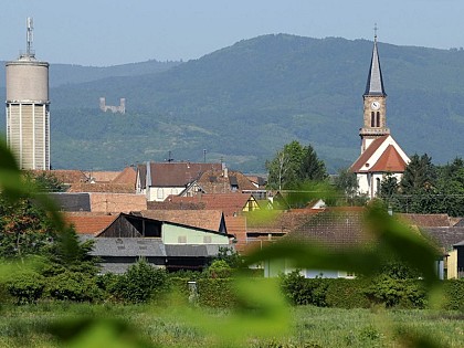 Walking tour around Zellwiller