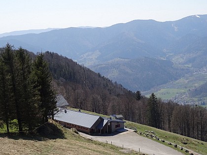 Trail - envol vers le Treh et le Markstein
