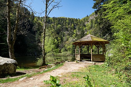 Parcours Trail : Le Gaschney - Entre crêtes et lacs