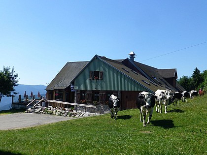 Balade ferme-auberge Gaschney : S'en mettre plein les yeux