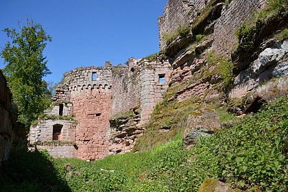 Circuit de randonnée aux châteaux du Schoeneck et du Wineck