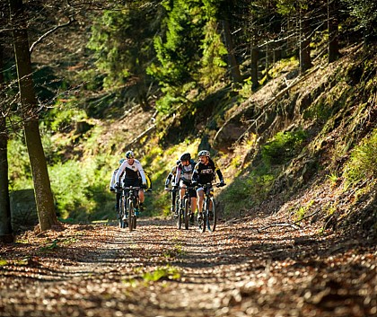 Moutainbike Track 3 "Wolfsberg"